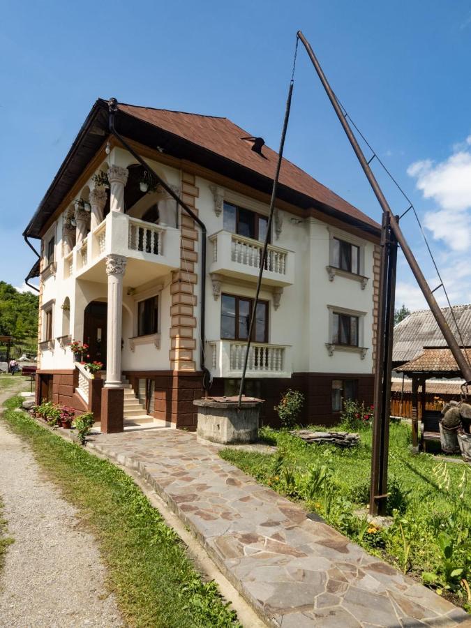 Pensiunea Denisa Bîrsana Esterno foto