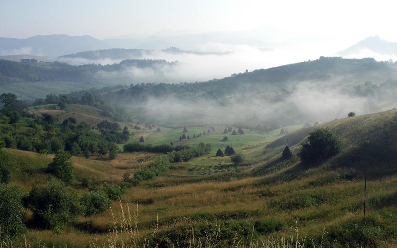 Pensiunea Denisa Bîrsana Esterno foto