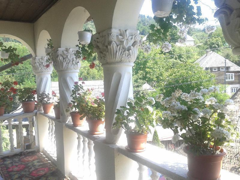 Pensiunea Denisa Bîrsana Esterno foto