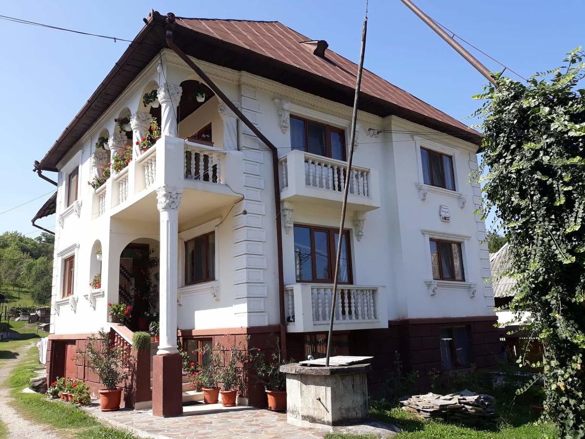 Pensiunea Denisa Bîrsana Esterno foto